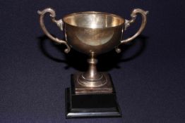 WITHDRAWN Silver two handled trophy cup for Sedgefield Agricultural Show 1929