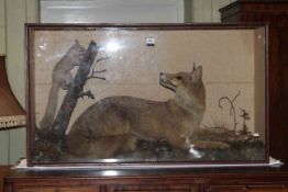 Cased taxidermy of startled fox and squirrel