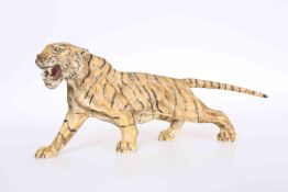 A COLD PAINTED BRONZE OF A BENGAL TIGER, cast standing and snarling,