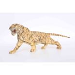 A COLD PAINTED BRONZE OF A BENGAL TIGER, cast standing and snarling,