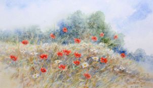 CHRIS GRIFFIN (WELSH, BORN 1945), POPPIES IN FIELD, signed and dated '94, watercolour, framed.