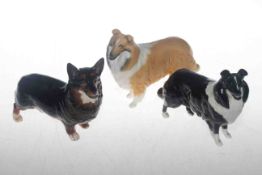 Beswick Black Prince Corgi and two Collies (3)