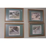 Tim Havers, Freshwater Fish, five coloured engravings, each signed and numbered,