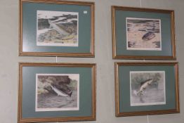 Tim Havers, Freshwater Fish, five coloured engravings, each signed and numbered,