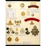 Newfoundland, British Honduras, Bermuda and West Indies Military Insignia A card bearing items