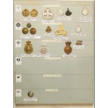 A Collection of Australian Insignia A card with cap and collar-badges, shoulder-titles, buttons