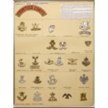 A Collection of Badges of Units and Corps transferred to Pakistan after Independence . A card of