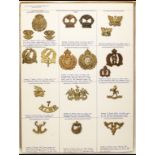 Insignia of New Zealand Mounted Rifles Regiments and other units A card bearing cap and/or collar-