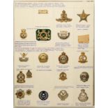 Malay, Malaysian and Singaporean Military and Police Insignia A card bearing items including a