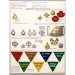 Insignia of Rhodesia A card with items of Northern Rhodesia colonial military and police items,