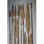 THIRTEEN AFRICAN SPEARS, 19TH CENTURY with iron heads, each on its wooden haft (shortened, worn