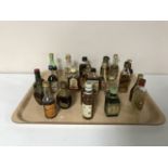 A tray of twenty two alcohol miniatures - Bells & Dimple whiskey, Captn Morgan rum, Martell cognac,