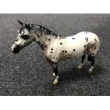 A Beswick horse - Appaloosa stallion, model AH1772, black and white,