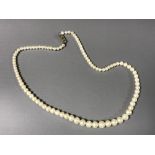 A cultured pearl necklace with sterling silver clasp