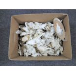 Taxidermy: A box of a large quantity of Rowe buck skulls