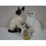 Three Beswick cat figures - Siamese cat no. 1882, in a gloss finish, Persian cat no.