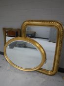 Three gilt framed mirrors