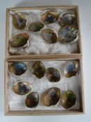 Fifteen Japanese hand painted shells CONDITION REPORT: These have some age but are