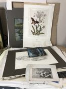 A folio of un-framed pictures and prints