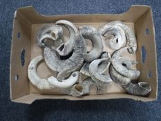 A box of rams horns