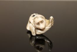A Meiji Japanese marine ivory netsuke modelled as a monkey wearing a kimono,