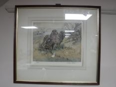 After Henry Wilkinson, Two Setters, hand coloured etching, numbered 18/40,