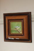 G H Greenshields : Study of a kingfisher, oil on board, signed, framed.