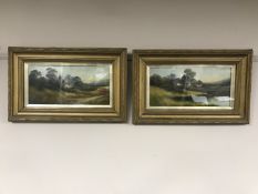 A pair of twentieth century school oil paintings depicting cottages in a landscape