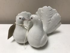 A Lladro figures of two doves