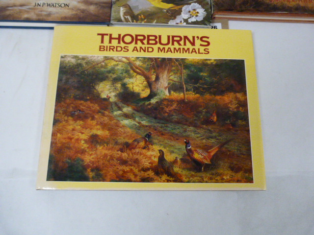 THORBURN ARCHIBALD. 3 illus. vols. in d.w's; also 5 others, illustrated, field sports, etc. (8). - Bild 3 aus 5