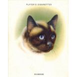 PLAYERS, Cats, complete, large, EX, 24