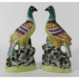 :Pair Chinese Porcelain Birds