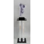 Shlomi Haziza Lucite Female Torso