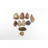 Stone Age Knapped Tool Group