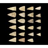 North American Florida Arrowhead Group