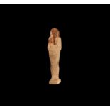 Egyptian Hieroglyphic Shabti