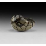 Natural History - Polished Septarian Egg