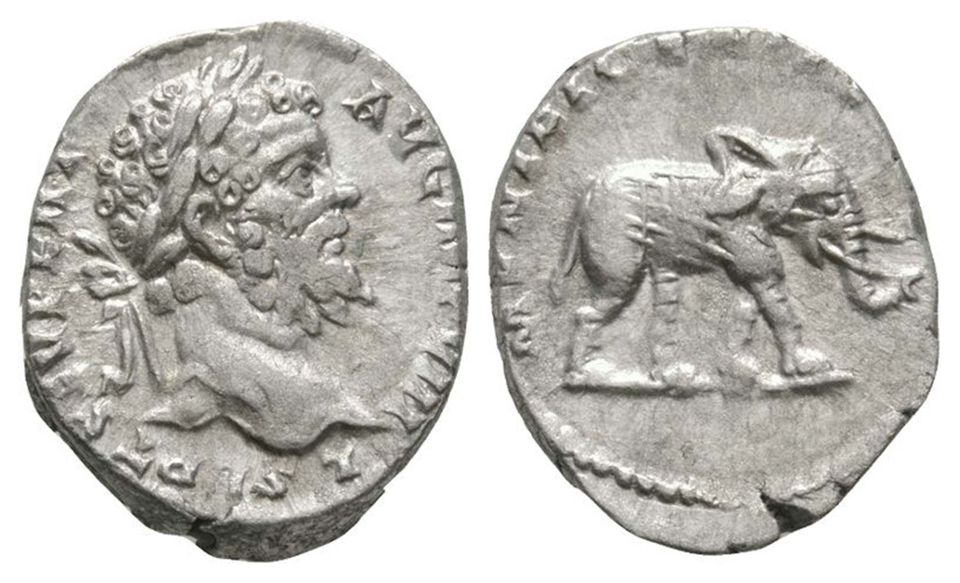 Ancient Roman Imperial Coins - Septimius Severus - Elephant Denarius