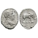 Ancient Roman Imperial Coins - Septimius Severus - Elephant Denarius