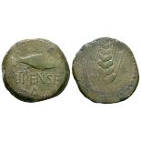 Ancient Roman Republican Coins - Spain - Ilipa Magna - Fish As