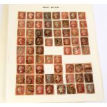 Superb collection of Penny Reds x 66 on a vintage album page