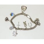 Silver charm bracelet and 9 charms