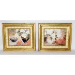 Pair of gilt framed still life prints. 53 x 48cm