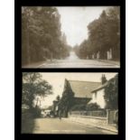 A collection of 20 postcards of Sussex, including photographic postcards titled 'Silverdale Road,