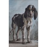 British School - Portrait of a Basset Hound, 19th century watercolour, 18cm x 11cm, within a gilt