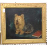 A. Garnham - Portrait of a Yorkshire Terrier, oil on canvas, signed and dated 1893, 41.5cm x 48cm,