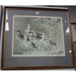 Charles Frederick Tunnicliffe - Ducks on a Pond, colour print, signed and editioned 355/500 in