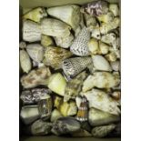 A collection of various sea shells, including marbled cones, other cones and volutes.Buyer’s Premium