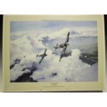 Robert Taylor - 'Duel of Eagles', 20th century colour print, signed by Douglas Bader and Adolf