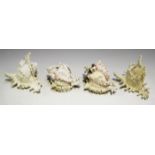 A collection of various sea shells, mainly murex and spider conch specimens.Buyer’s Premium 29.4% (